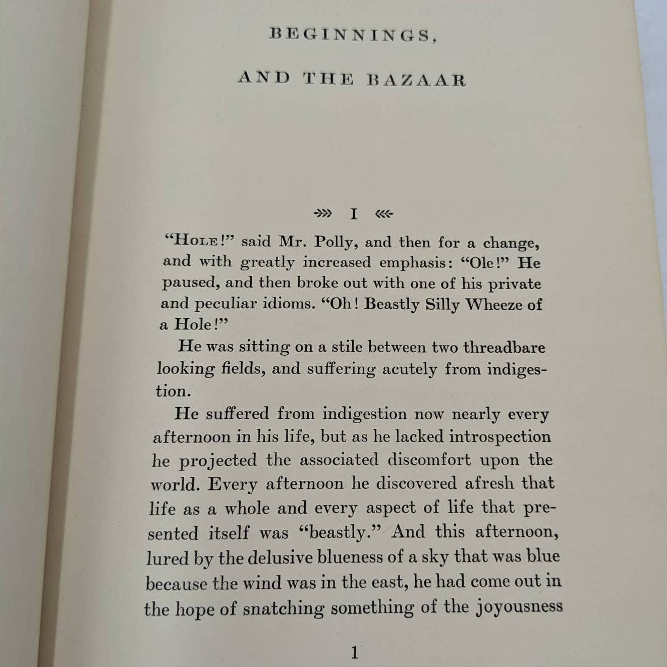 The History Of Mr. Polly By H. G. Wells Vintage Novel Book 1941