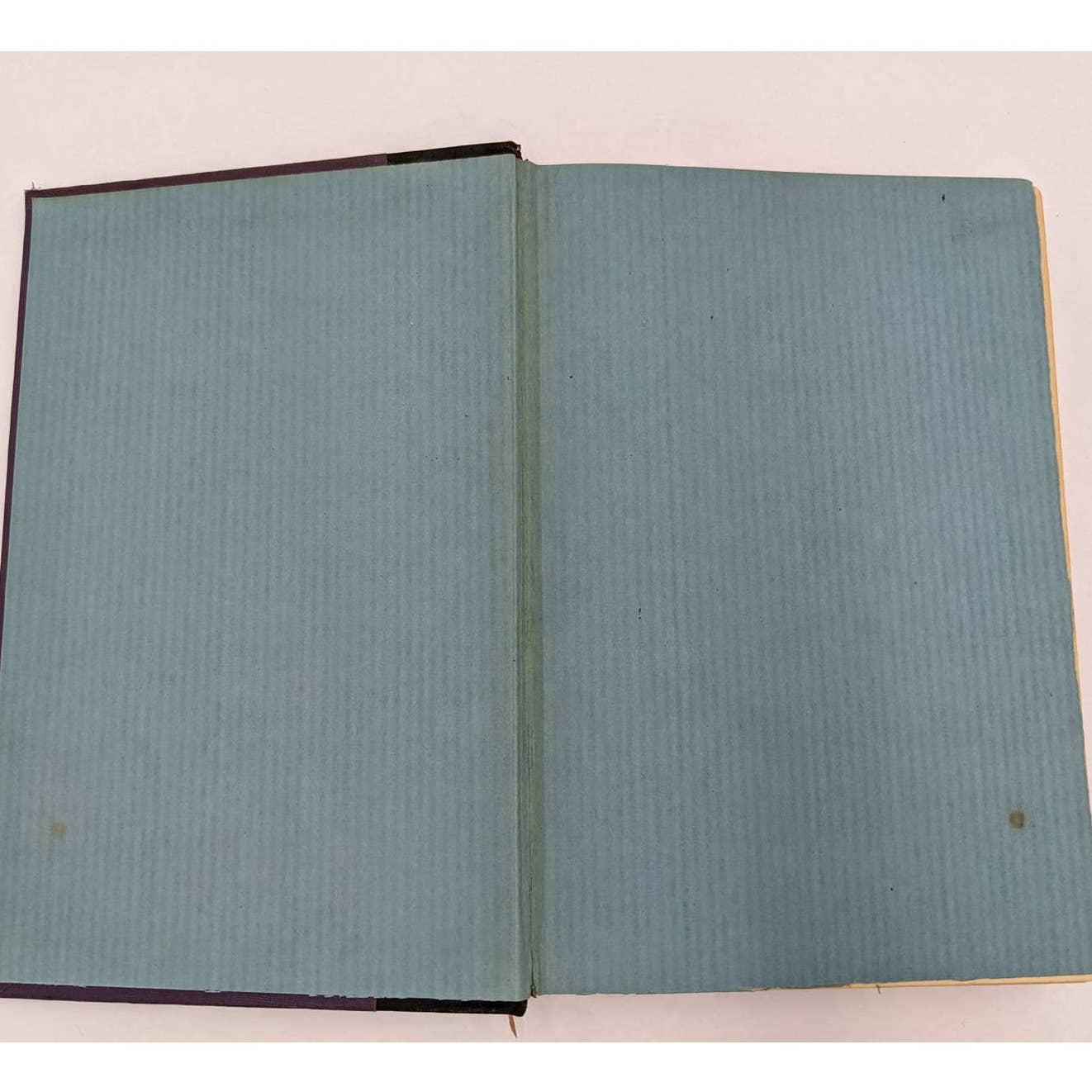 Samuel Pepys' Diary Royal Navy Member of Parliament Vintage Hardcover 1932