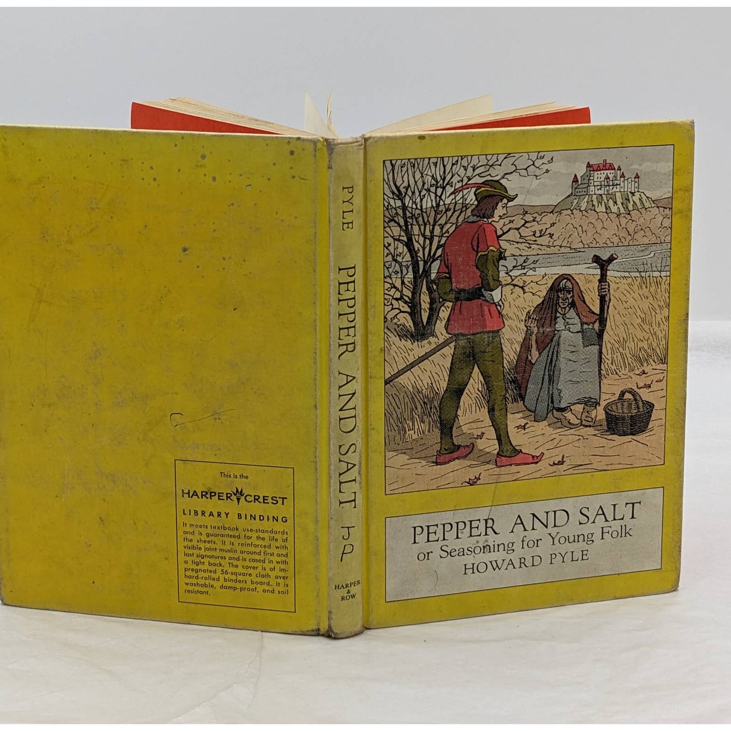 Pepper And Salt Or Seasoning For Young Folk By Howard Pyle Antiquarian 1913
