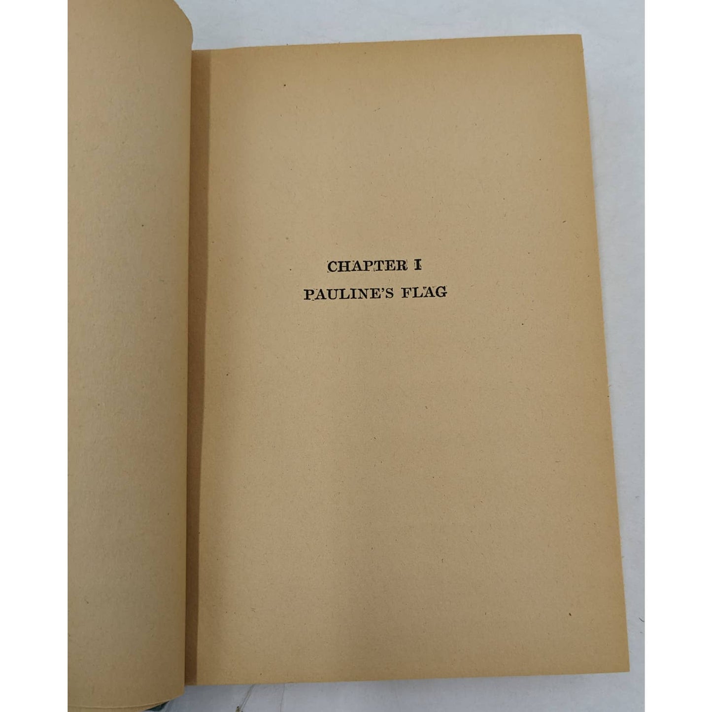 The S.W.F. Club By Caroline E. Jacobs Vintage Novel Dust Jacket