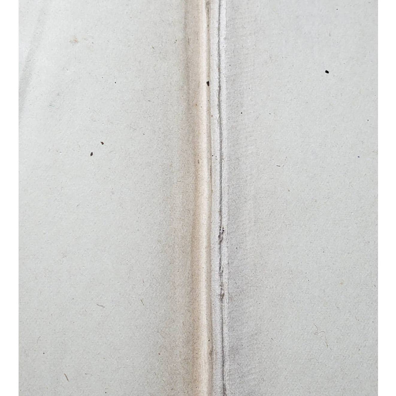 Sweet Cicely Or Josiah Allen A Politician By Marietta Holley, Antiquarian 1887