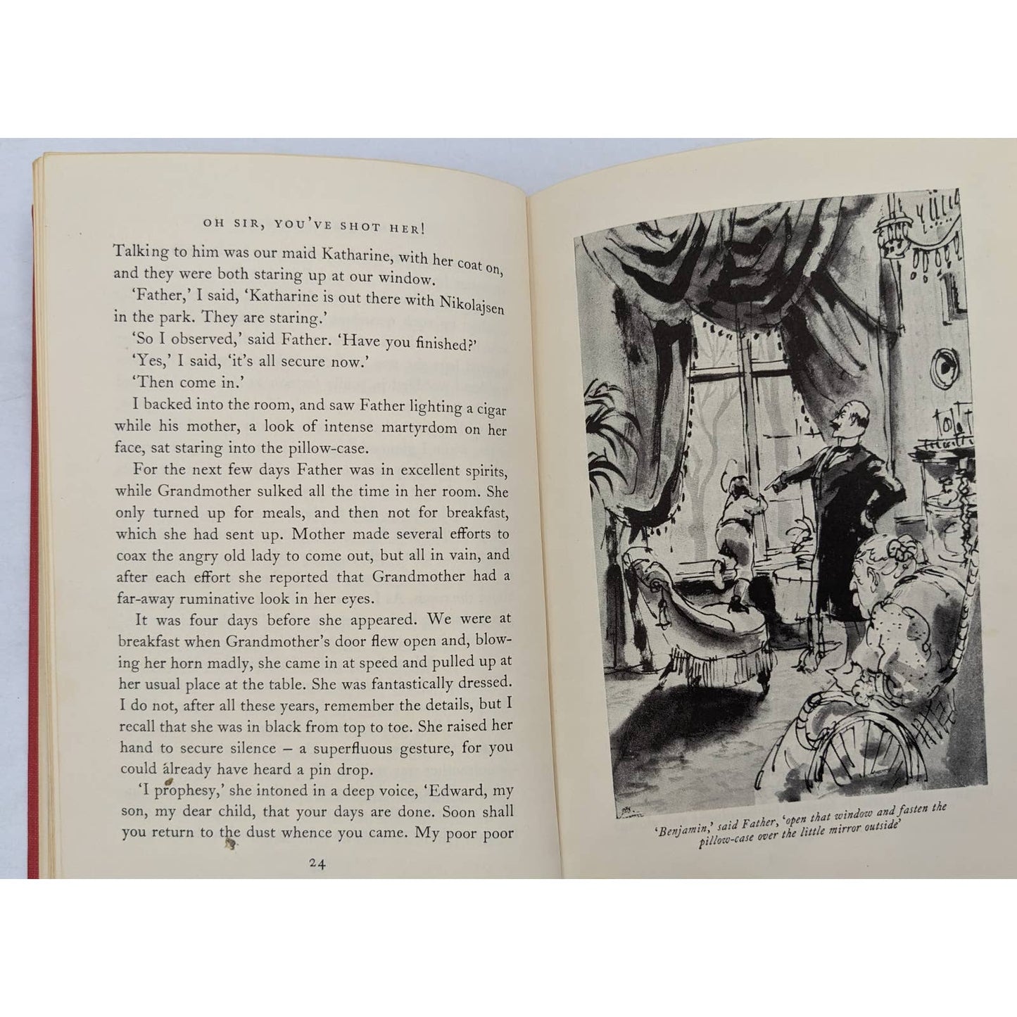 Oh Sir You've Shot Her Recollections Copenhagen Childhood Benjamin Jacobsen 1959