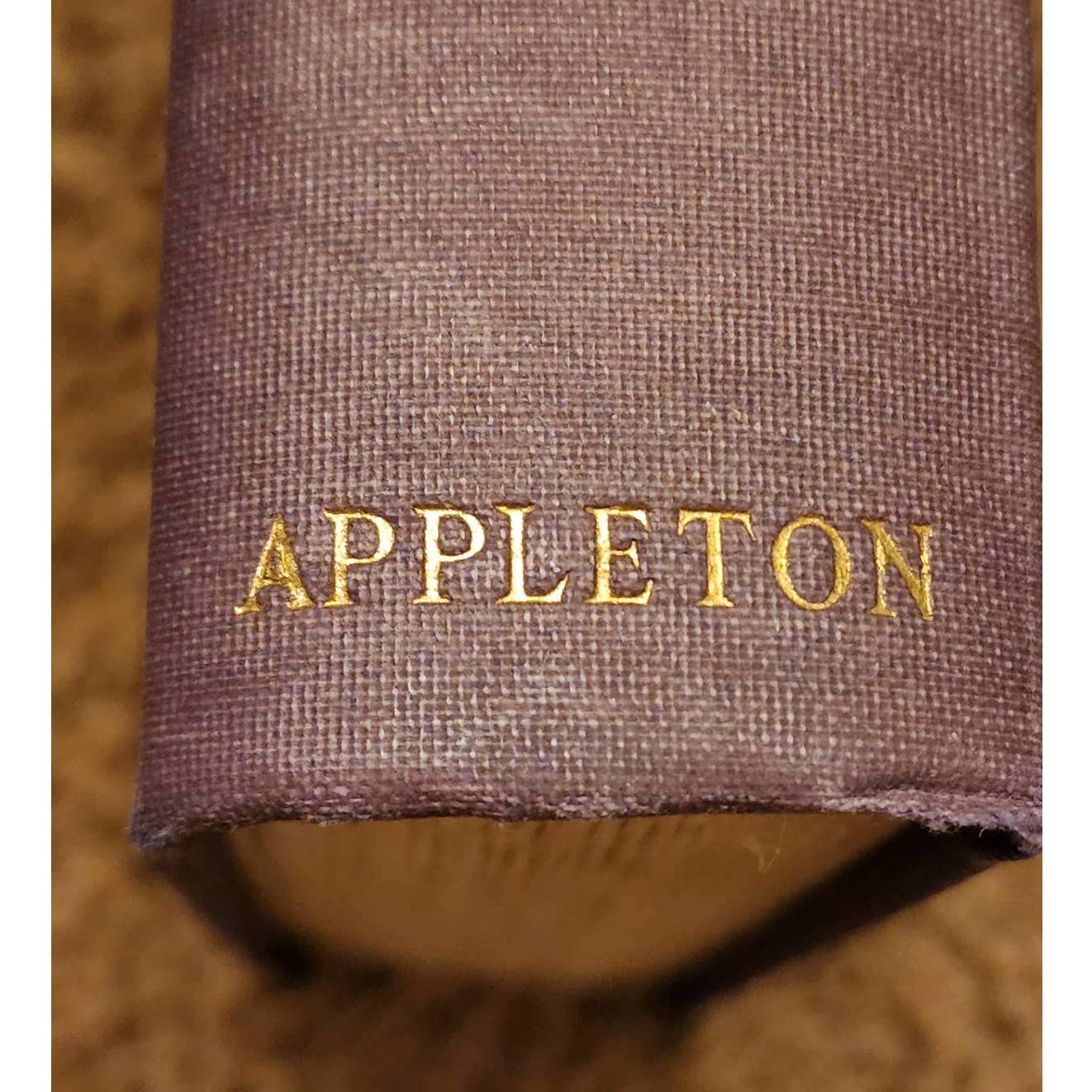 Disraeli A Picture Of The Victorian Age By Andre Maurois, First Printing 1928