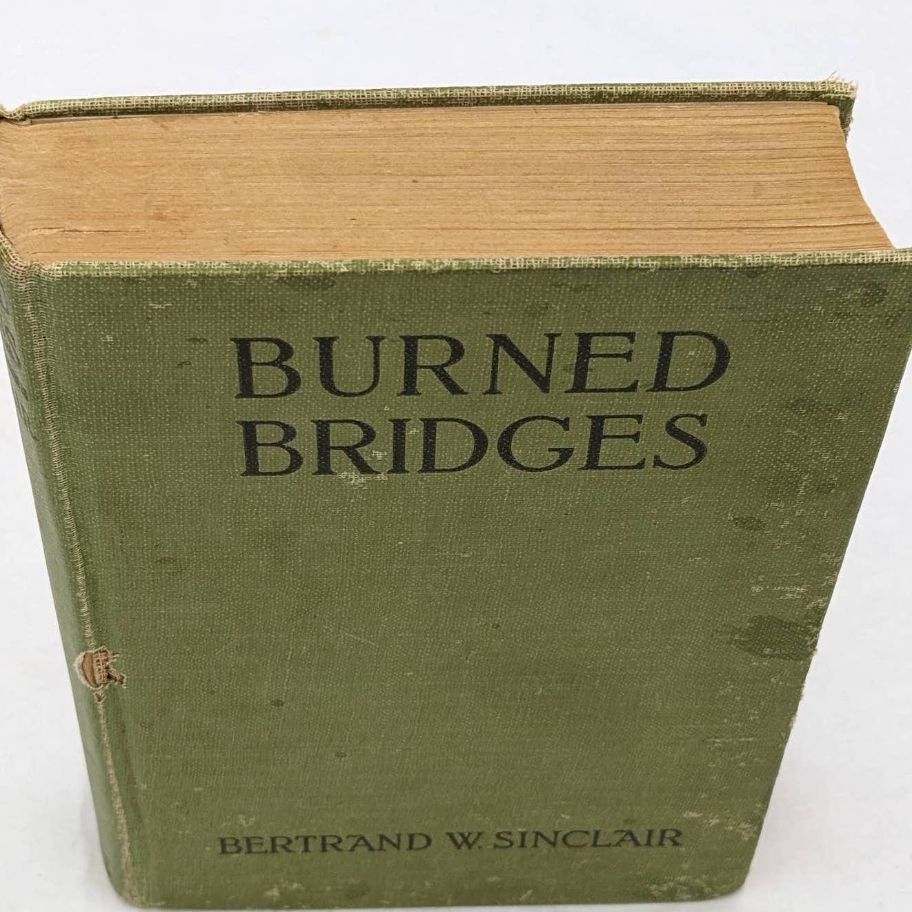 Burned Bridges By Bertrand W. Sinclair Vintage Antiquarian Novel 1920