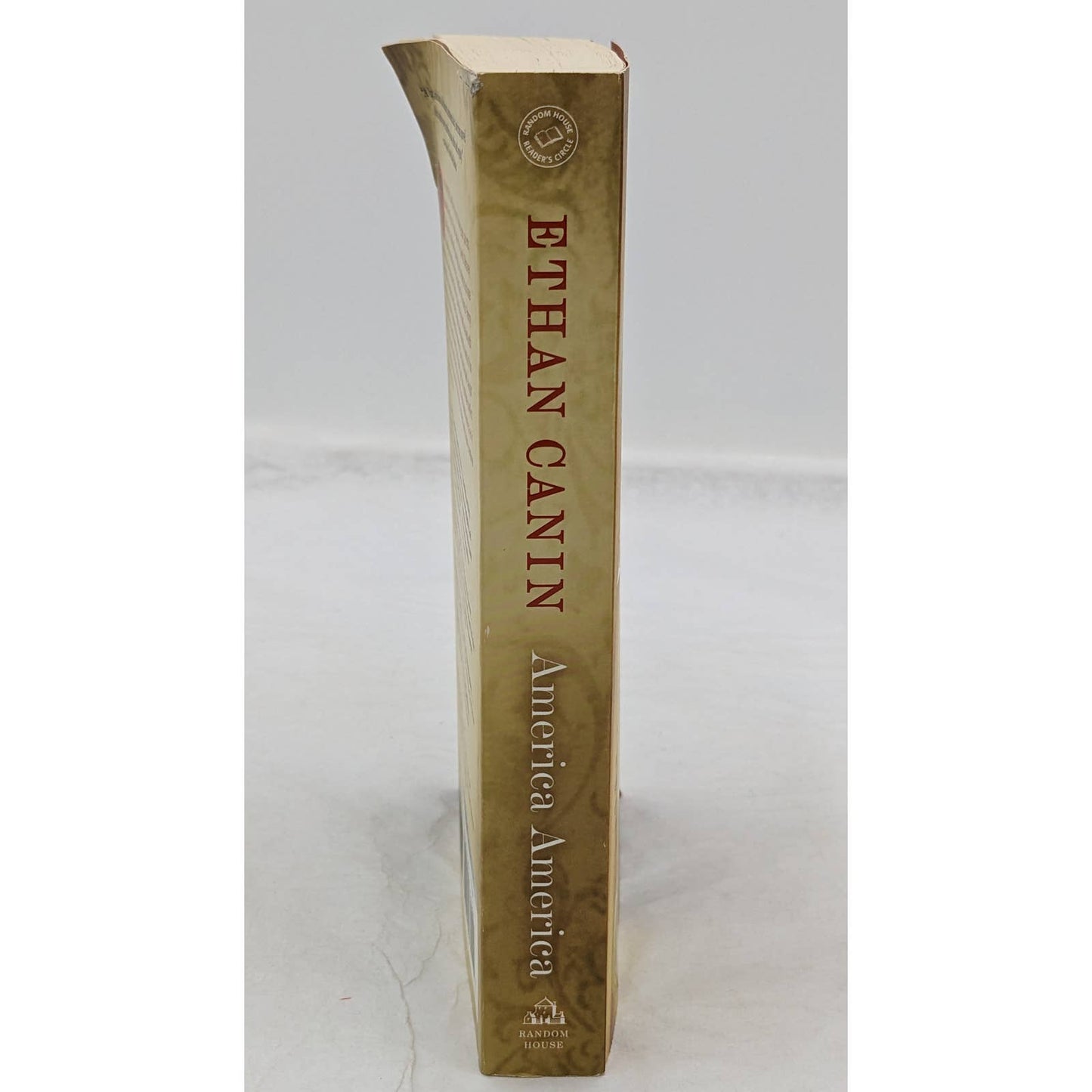 America America By Ethan Canin Novel Paperback Best Selling Book