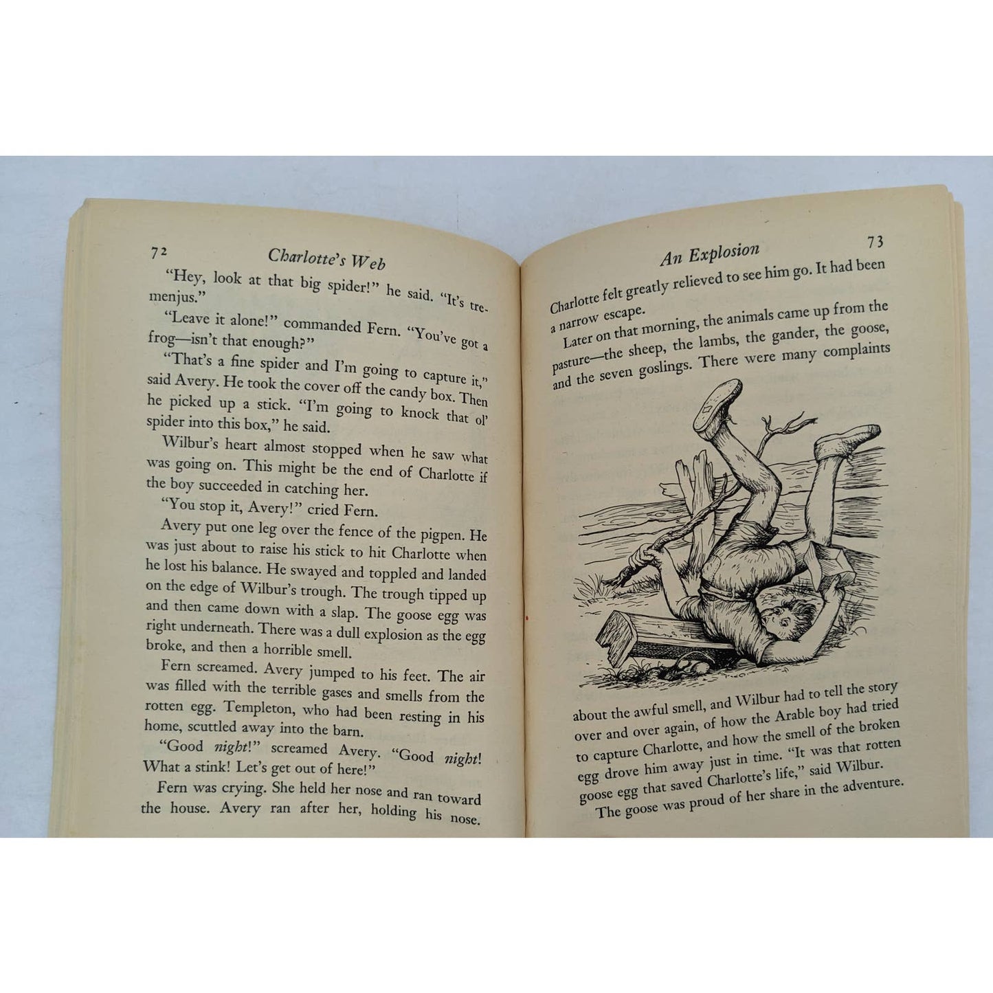 Charlotte's Web By E. B. White Vintage Childrens Novel Paperback 1972