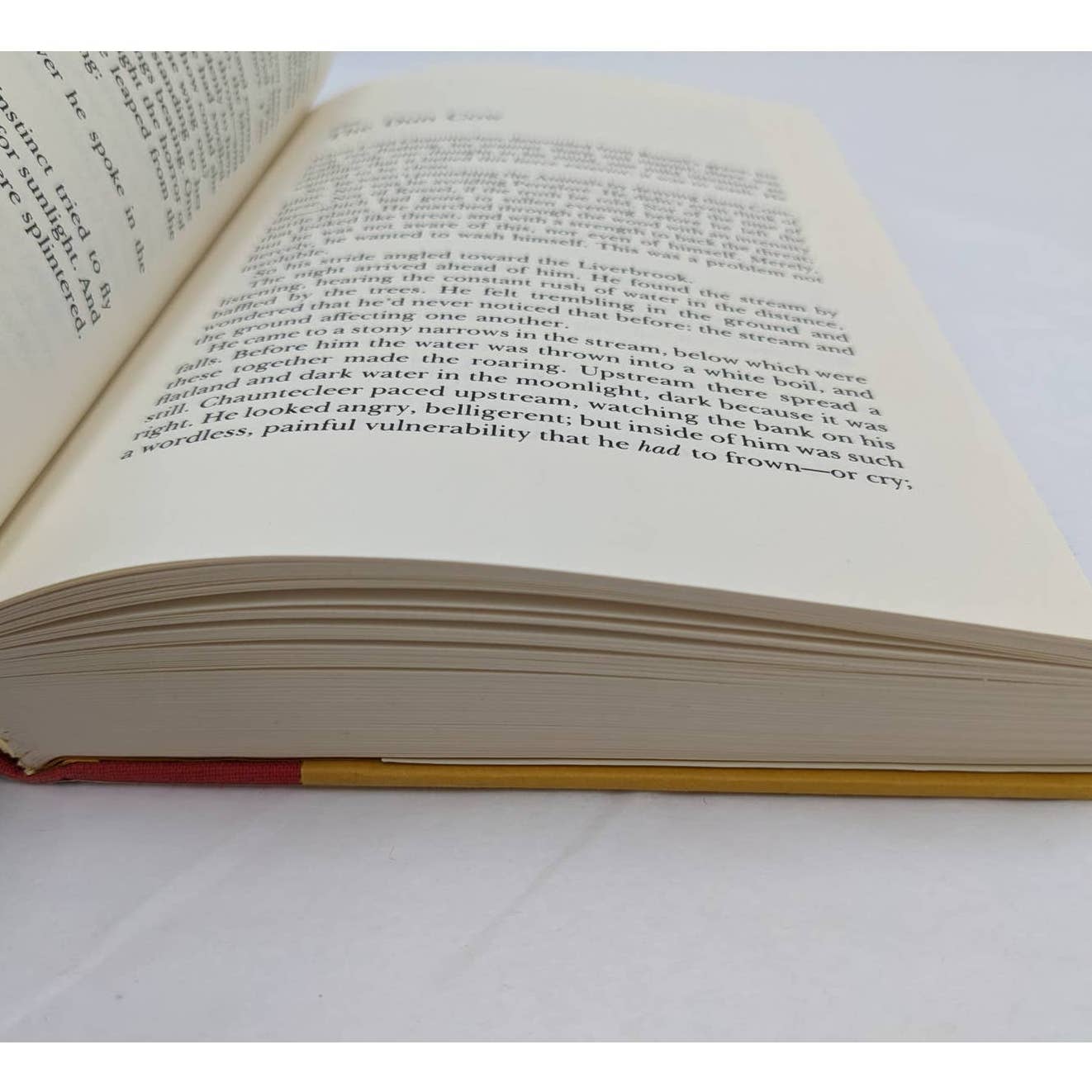 The Book Of Sorrows By Walter Wangerin, Jr Vintage Hardcover First Edition 1985