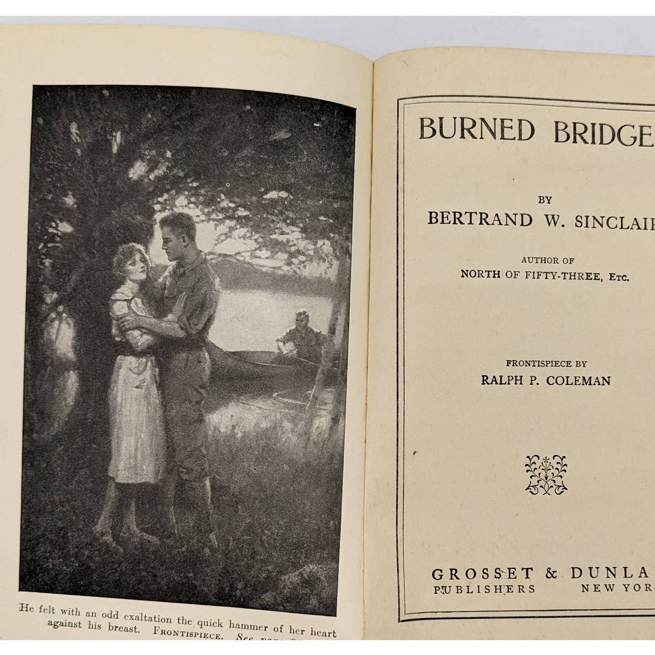 Burned Bridges By Bertrand W. Sinclair Vintage Antiquarian Novel 1920