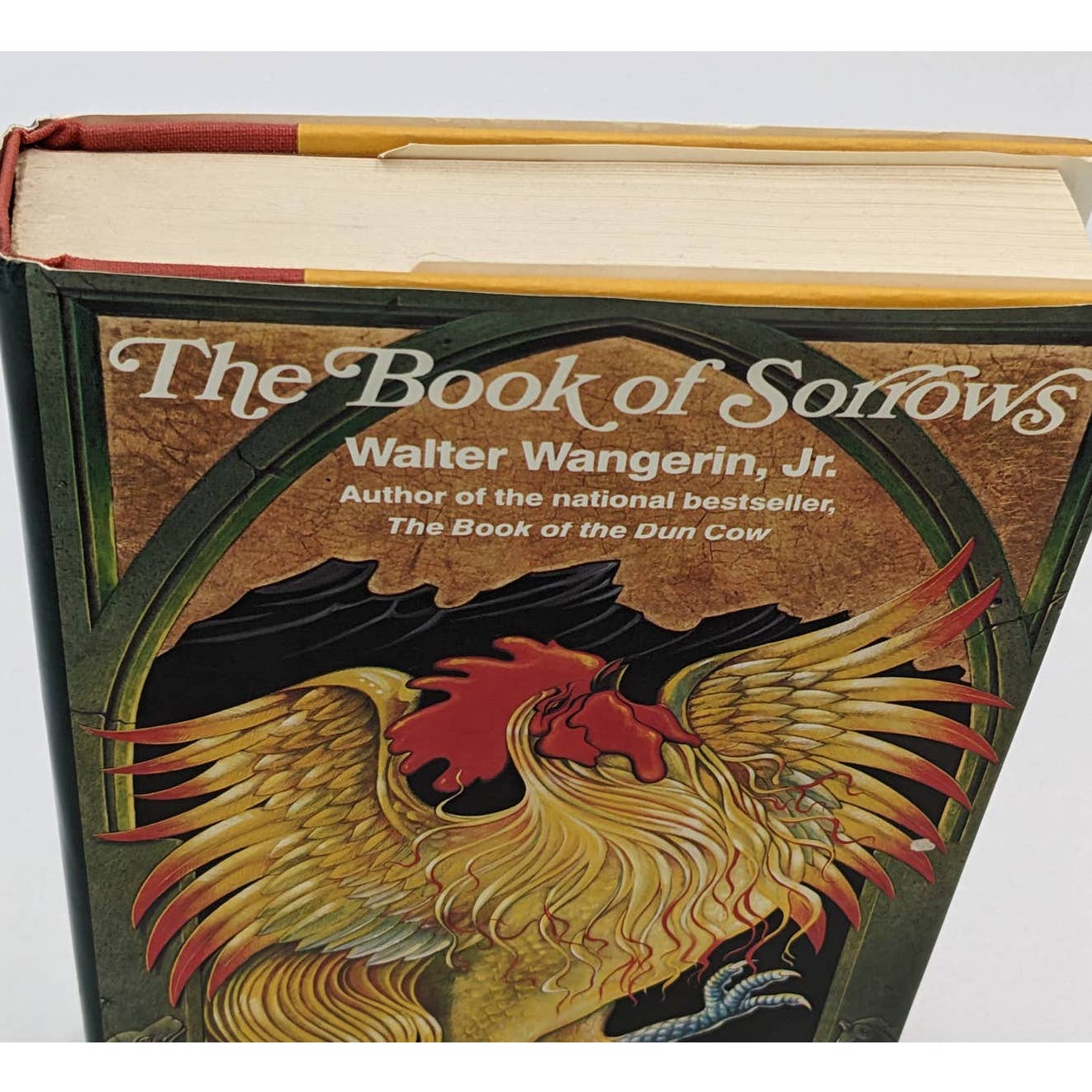 The Book Of Sorrows By Walter Wangerin, Jr Vintage Hardcover First Edition 1985