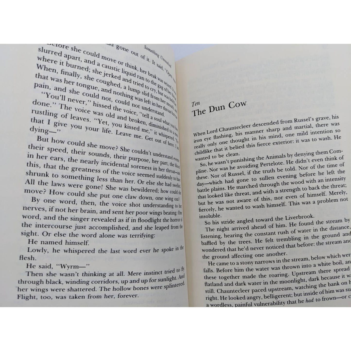 The Book Of Sorrows By Walter Wangerin, Jr Vintage Hardcover First Edition 1985