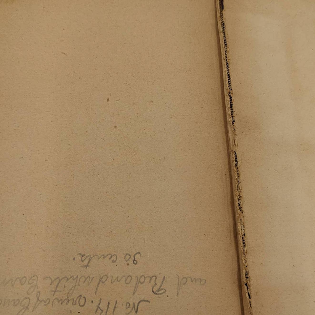 We Two By Edna Lyall Novel Book Antiquarian