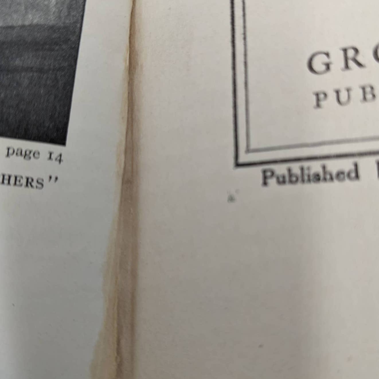 The Primrose Ring By Ruth Sawyer Antiquarian Book Novel Early Edition 1915