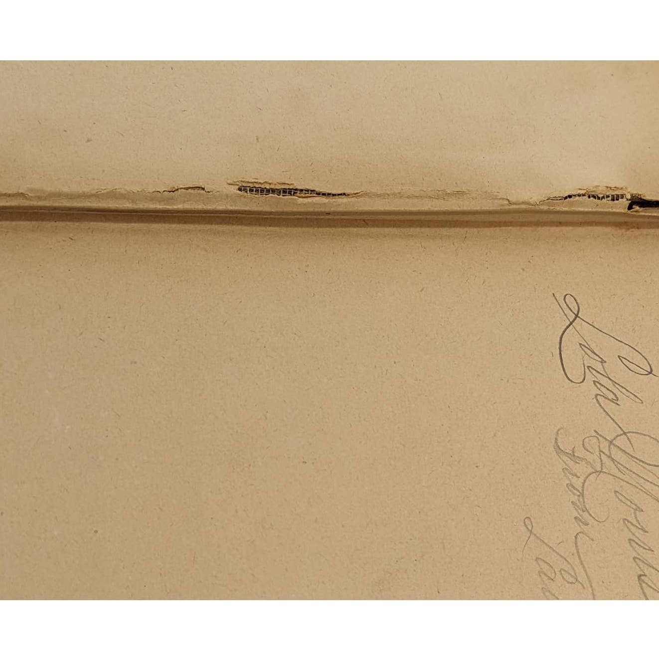 We Two By Edna Lyall Novel Book Antiquarian