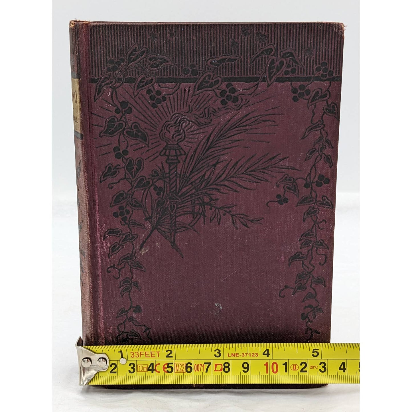 We Two By Edna Lyall Novel Book Antiquarian