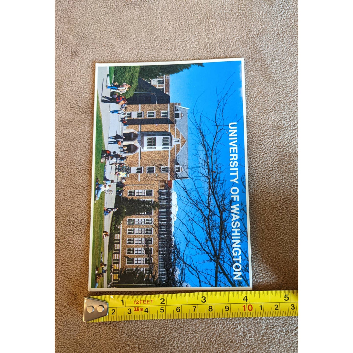 Vintage Seattle World Fair Postcard Lot Washington Opera House, Alweg Monorail