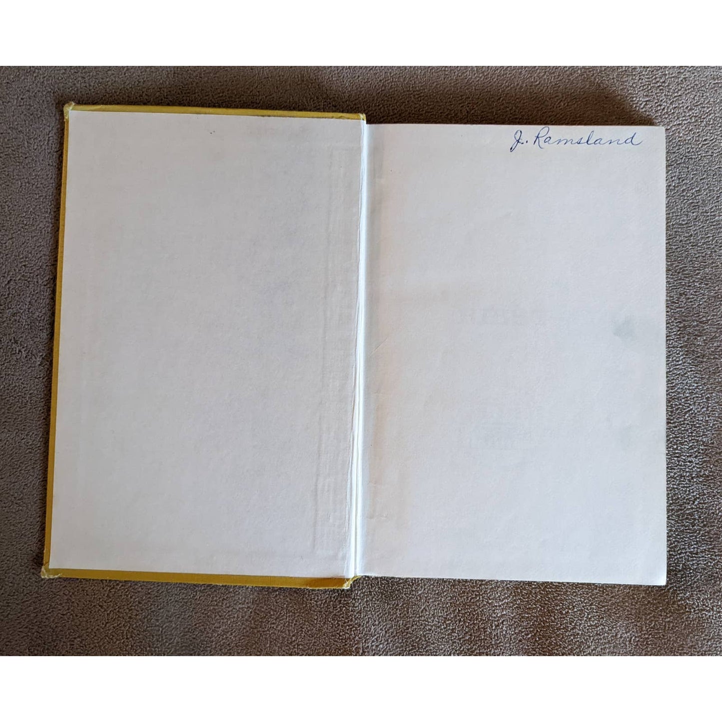 Vintage 1964 Ribsy By Beverly Clearly Illustrated Louis Darling Dog Childrens