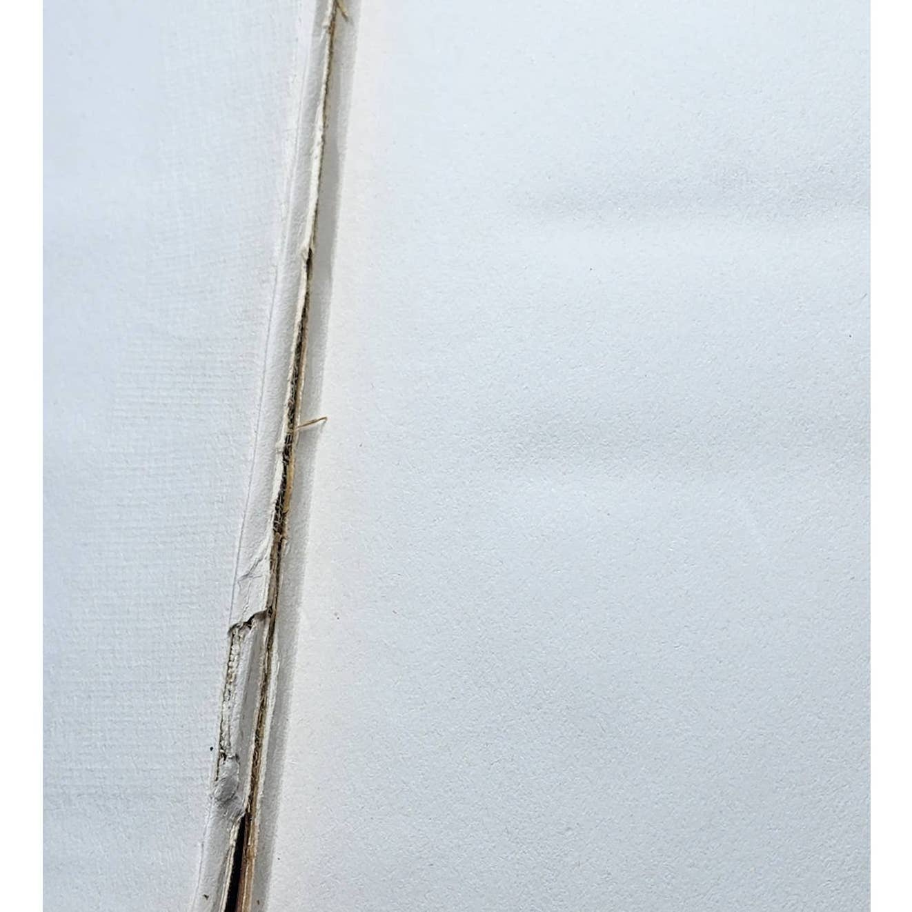 The Scapegoat By Hal Caine Illustrated, Antiquarian Antique Book 1899