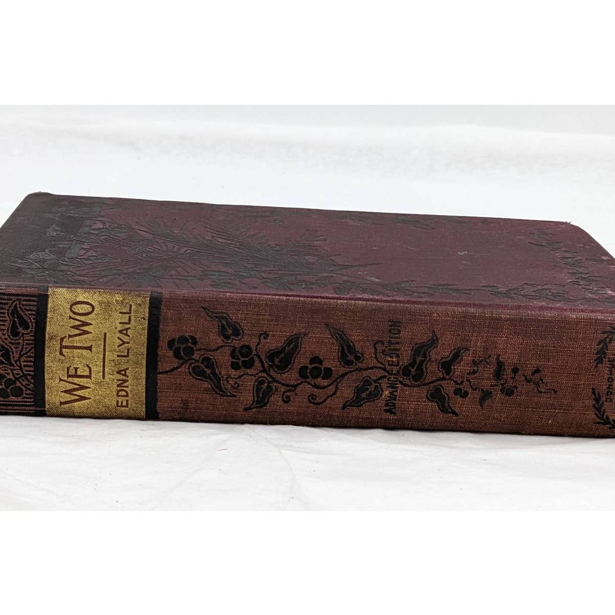 We Two By Edna Lyall Novel Book Antiquarian