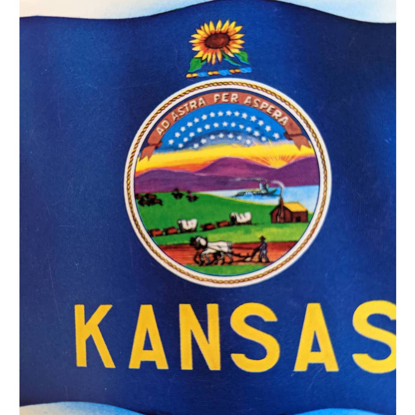Vintage Kansas Postcard Official State Flag