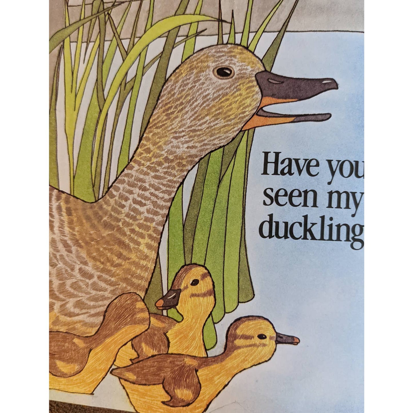 Have You Seen My Duckling? By Nancy Tafuri Scholastic Childrens Book