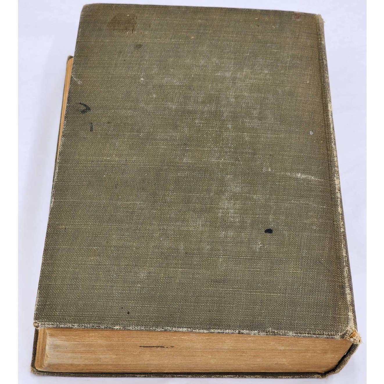 The Coast Of Chance By Esther & Lucia Chamberlain Antiquarian Vintage 1908