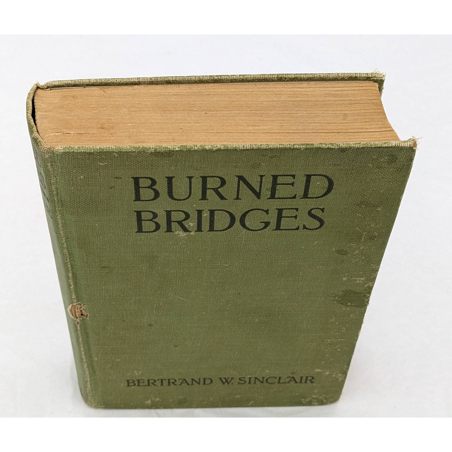 Burned Bridges By Bertrand W. Sinclair Vintage Antiquarian Novel 1920