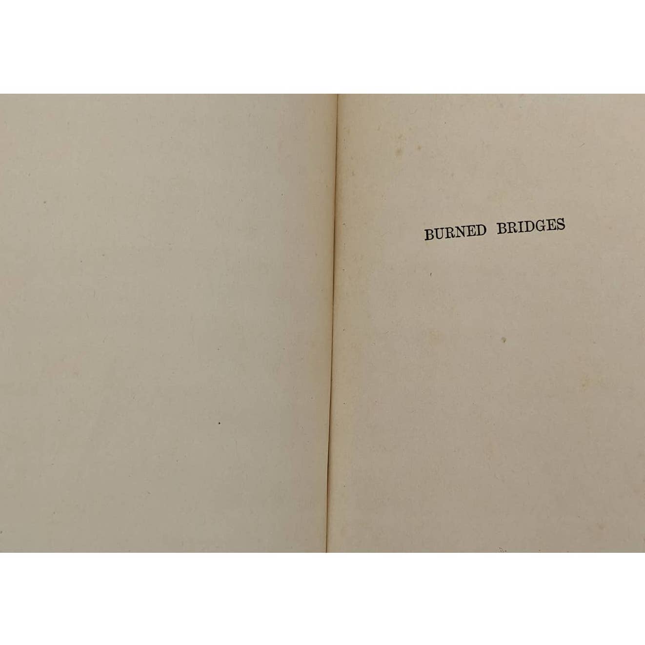 Burned Bridges By Bertrand W. Sinclair Vintage Antiquarian Novel 1920