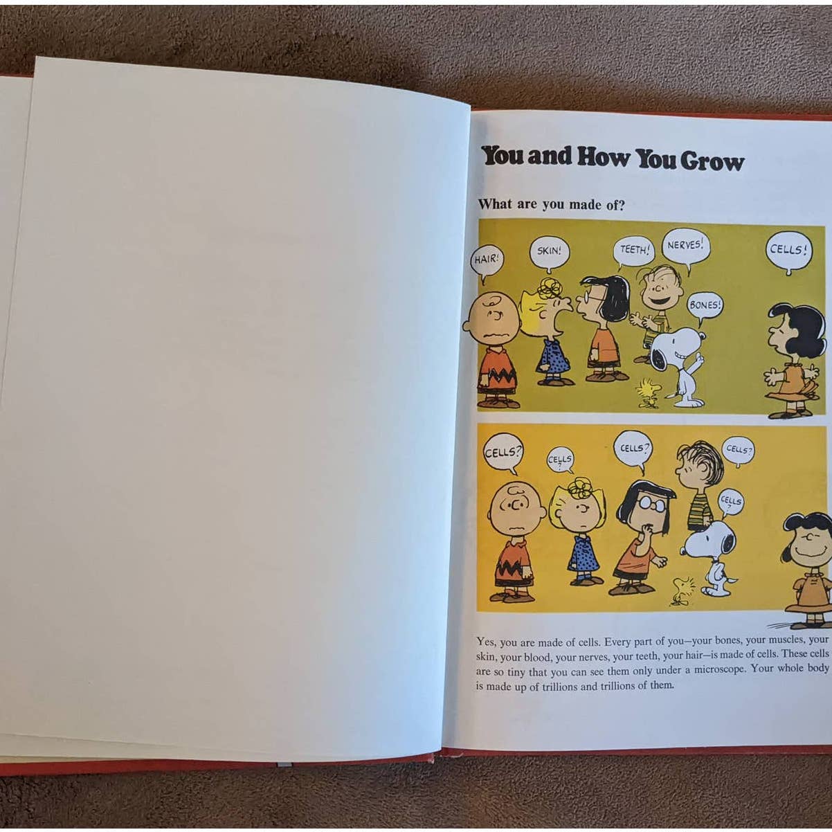 Charlie Brown's Cyclopedia, Featuring Your Body Volume 1 By Charles M. Schulz
