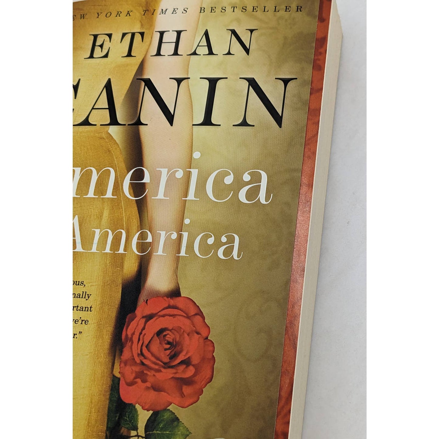 America America By Ethan Canin Novel Paperback Best Selling Book