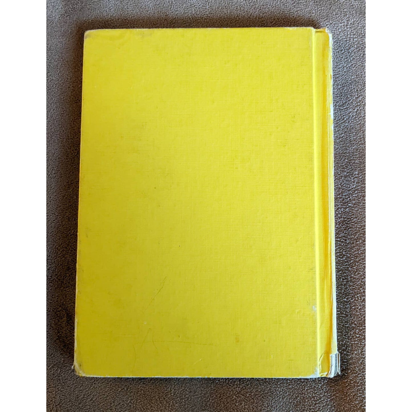 Vintage The Bears Vacation 1968 Book By Stan Jan Berenstain Childrens Beginner
