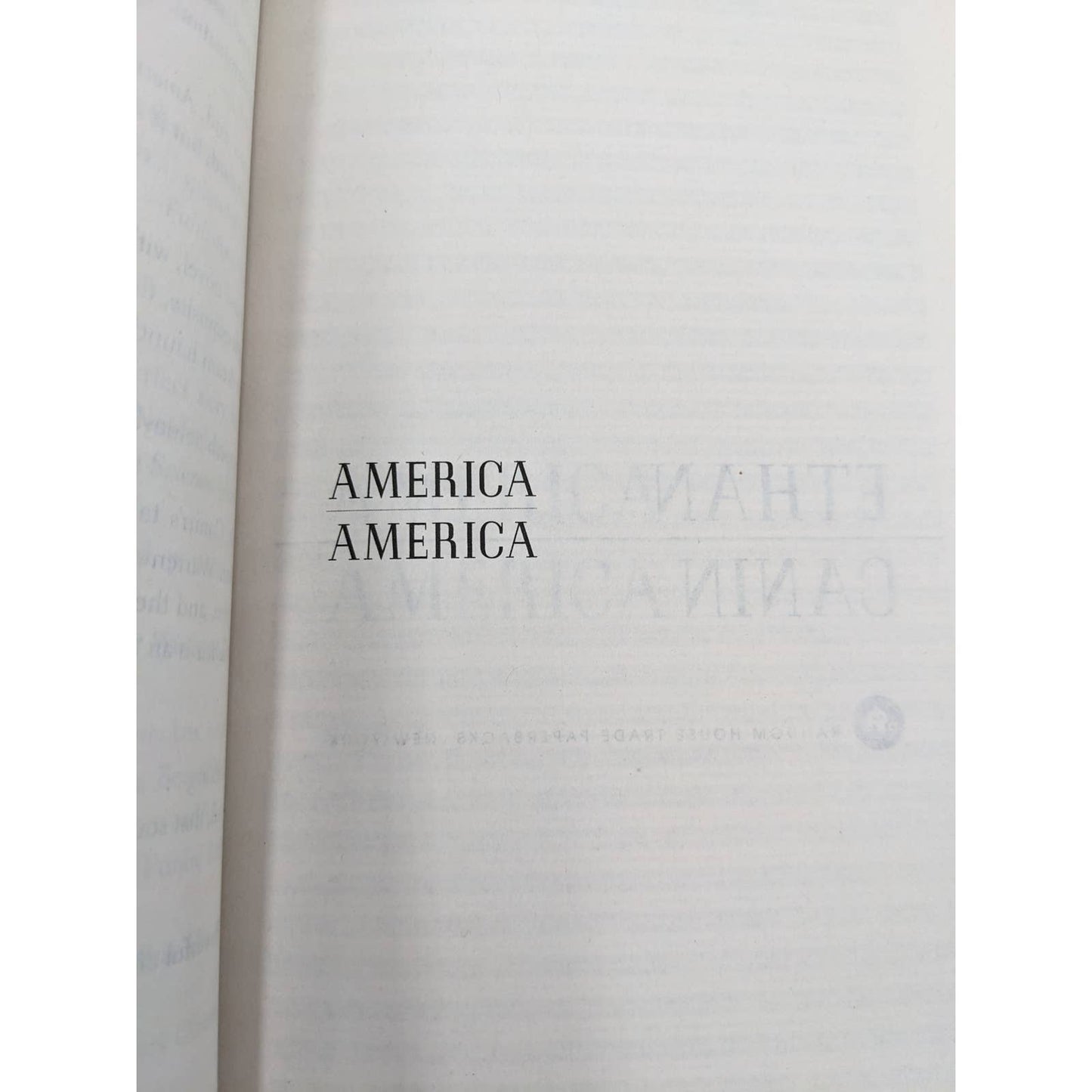 America America By Ethan Canin Novel Paperback Best Selling Book
