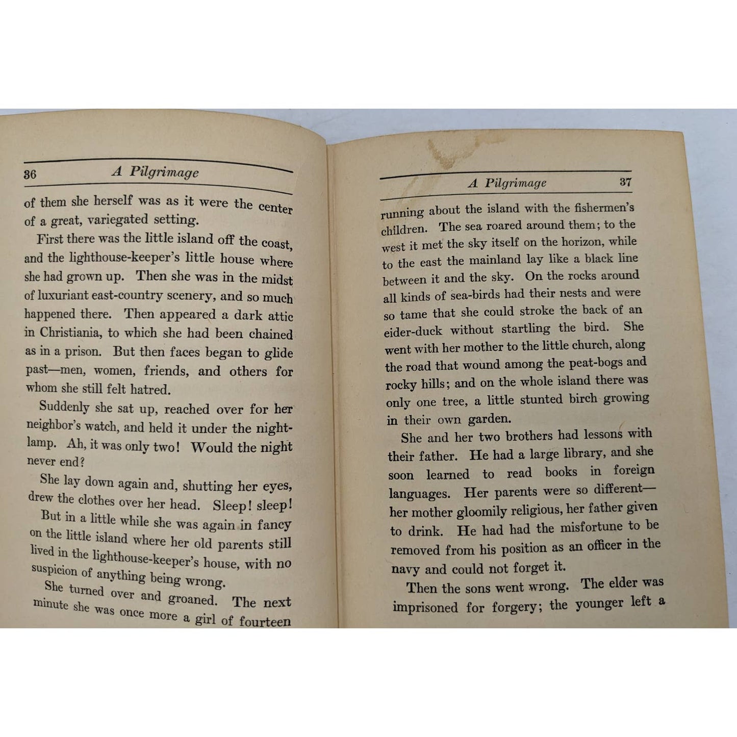 A Pilgrimage By Johan Bojer Antiquarian Vintage Novel 1924