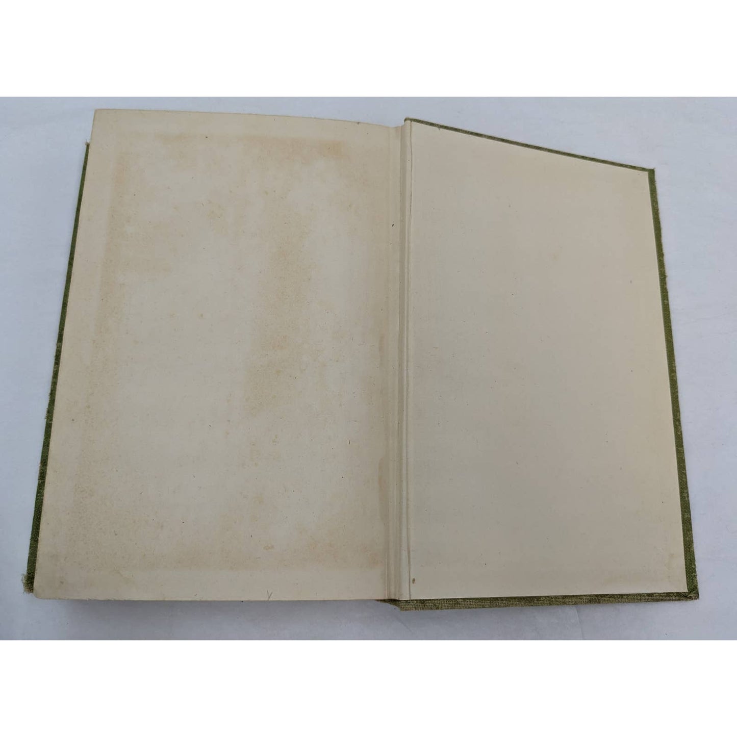 Burned Bridges By Bertrand W. Sinclair Vintage Antiquarian Novel 1920