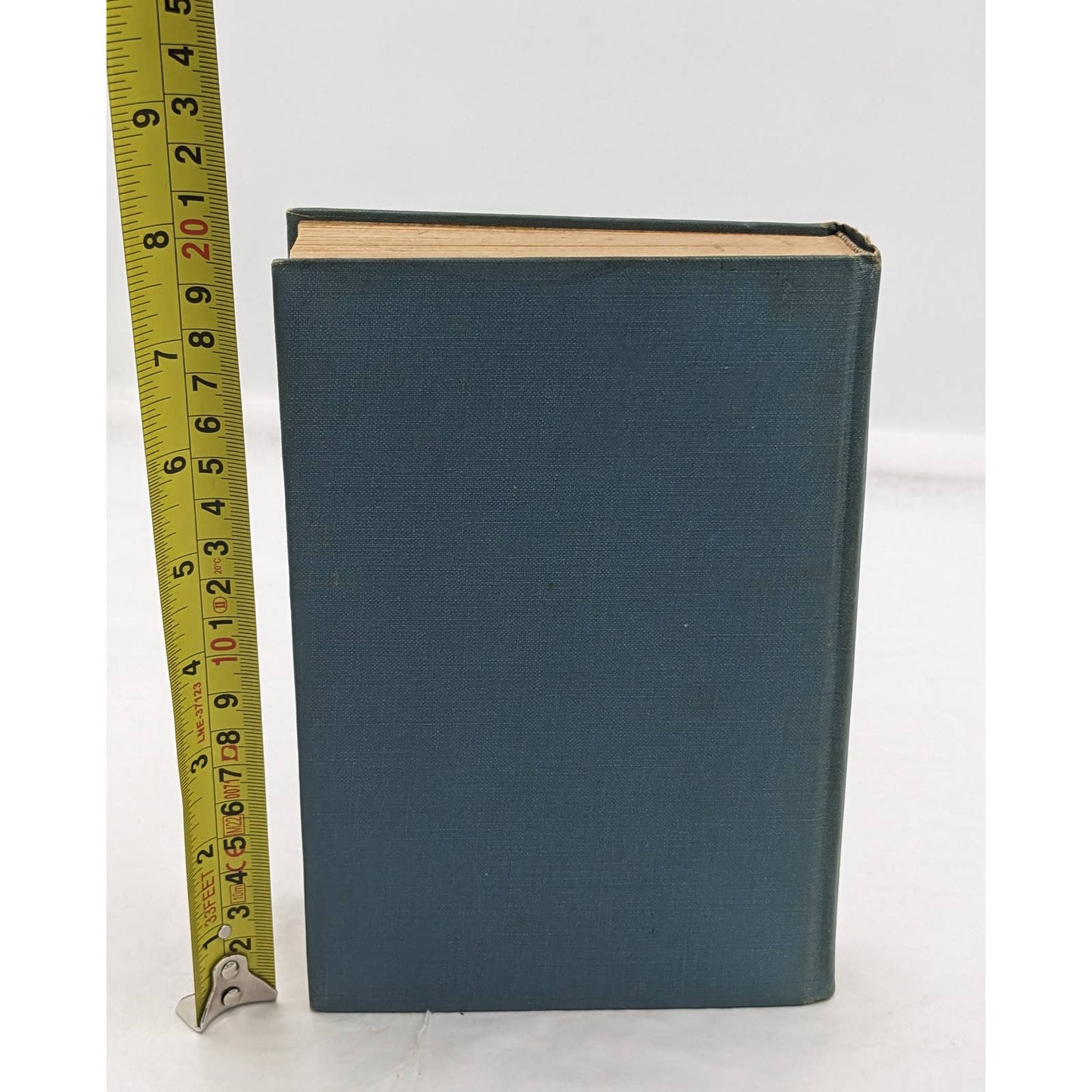Day Of Trouble By G.L. Wind Vintage Novel Book 1931
