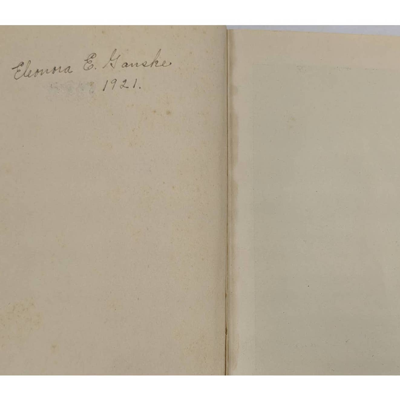 Burned Bridges By Bertrand W. Sinclair Vintage Antiquarian Novel 1920