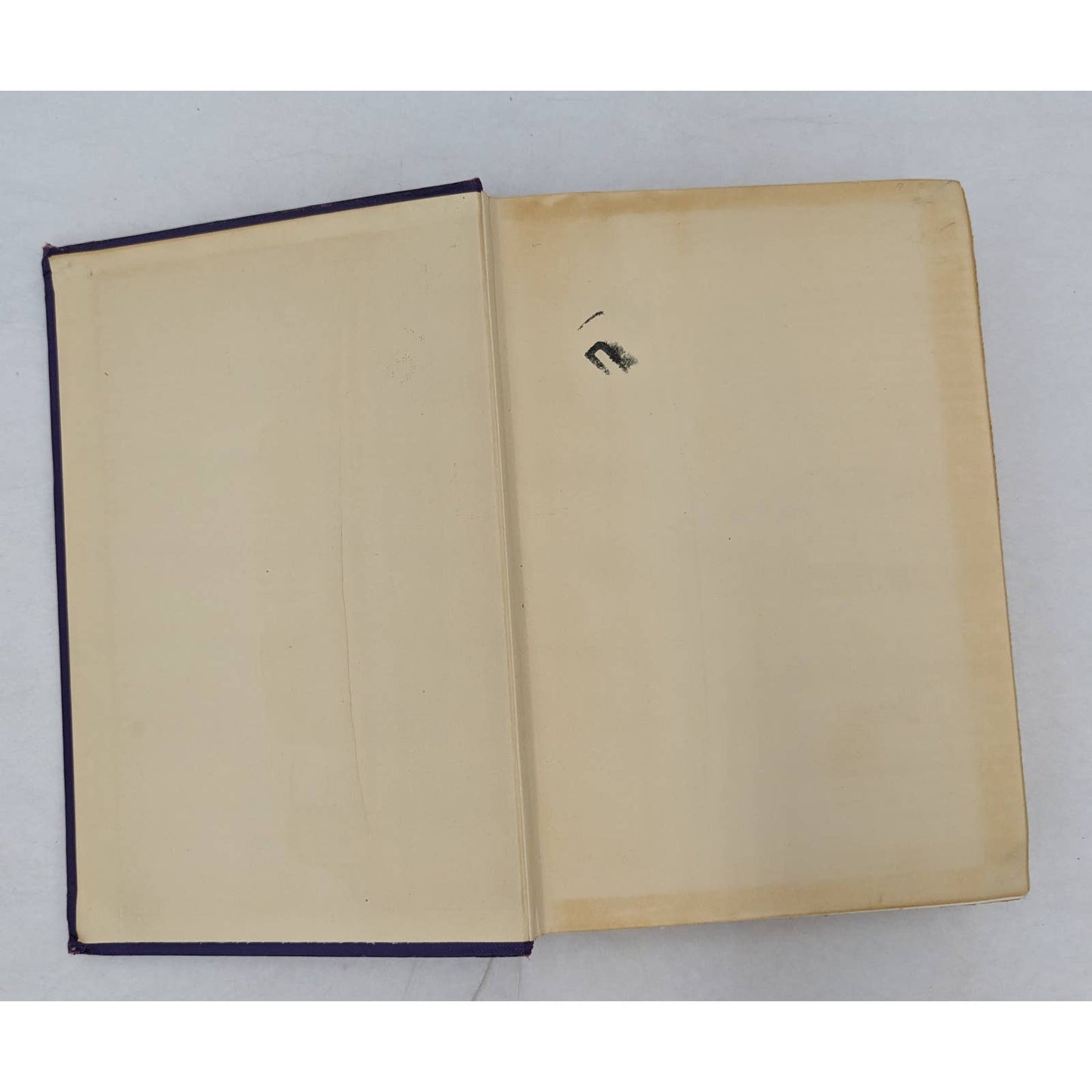 Henry The Eighth By Francis Hackett Illustrated Biography Star Book Vintage 1931