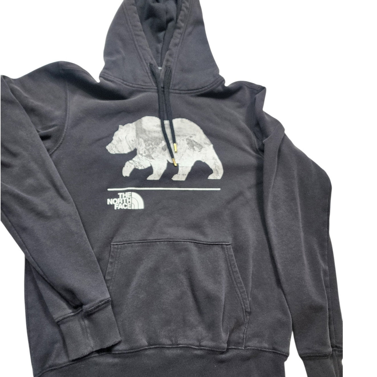 North Face Hoodie Mens Small Womens Medium Bear Graphic Pullover Sweatshirt Y2K