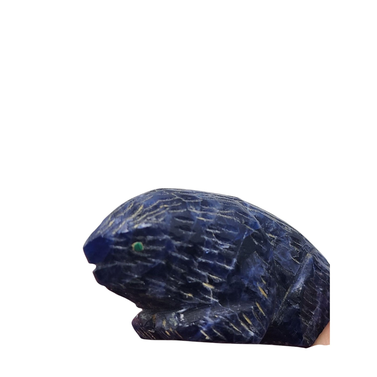 Native American Zuni Beaver Fetish Carving Green Eyes Signed Totem Southwest