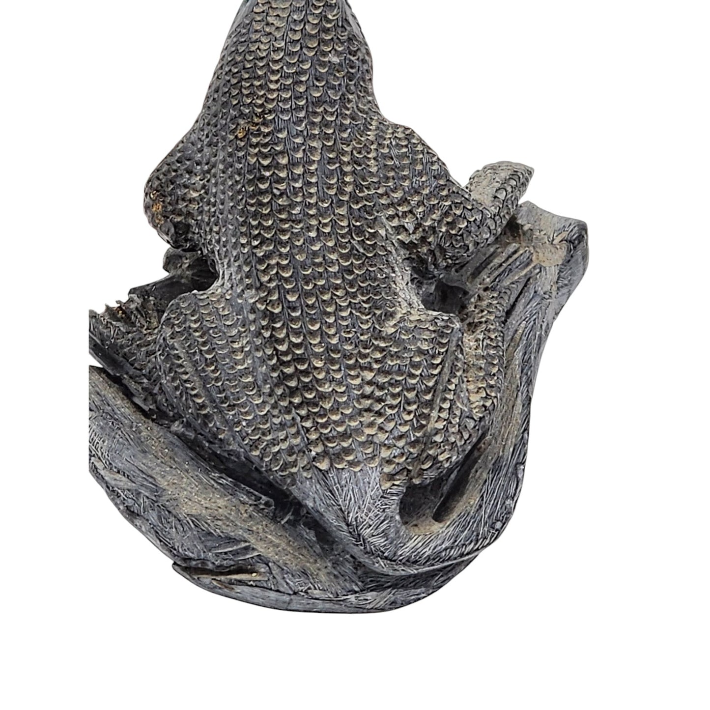 Native American Zuni Lizard Fetish Calvin Weeka Carved Stone Reptile Turquoise