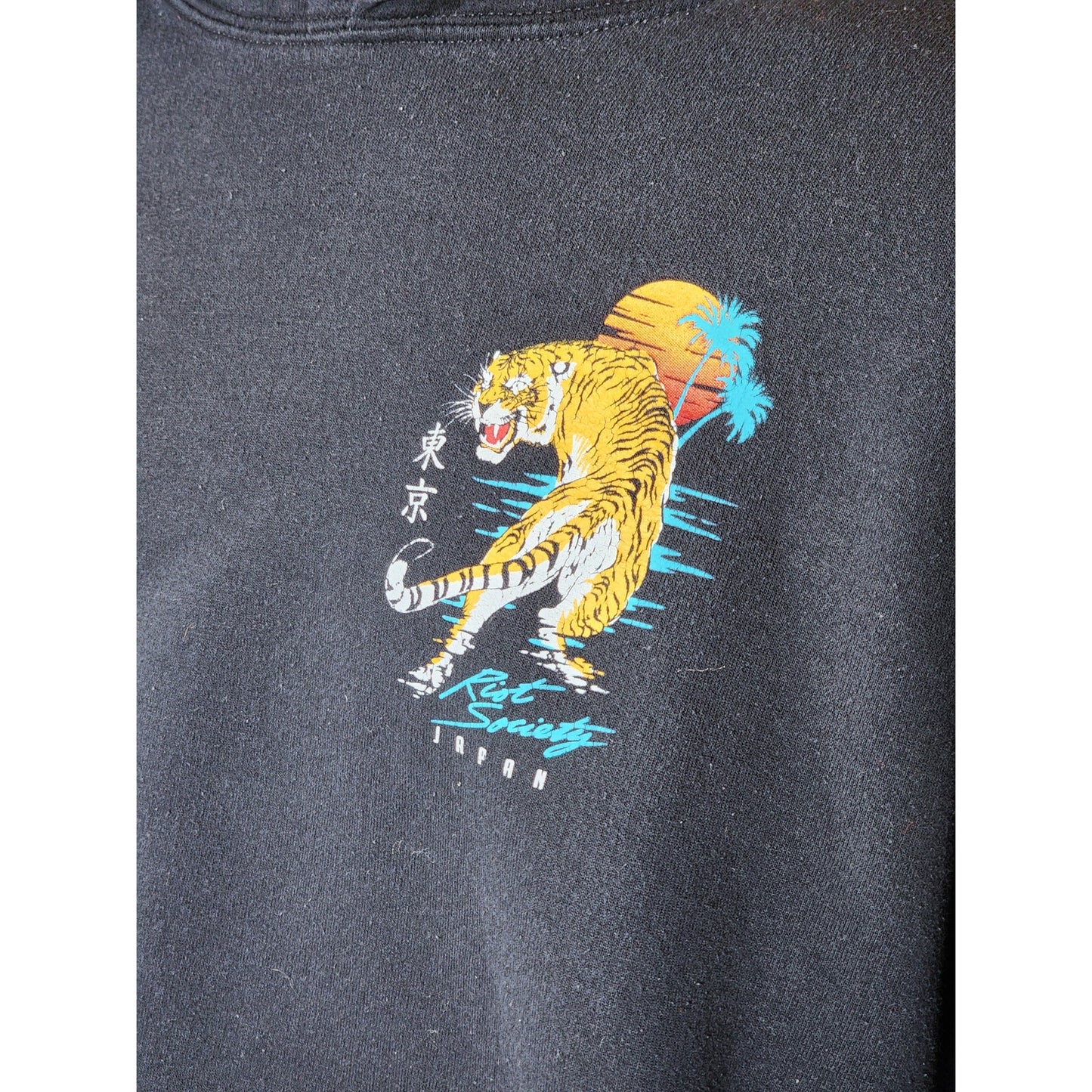 Riot Society Tiger Tokyo Hoodie Large Graphic Japan Streetwear Sunset Skater Y2K