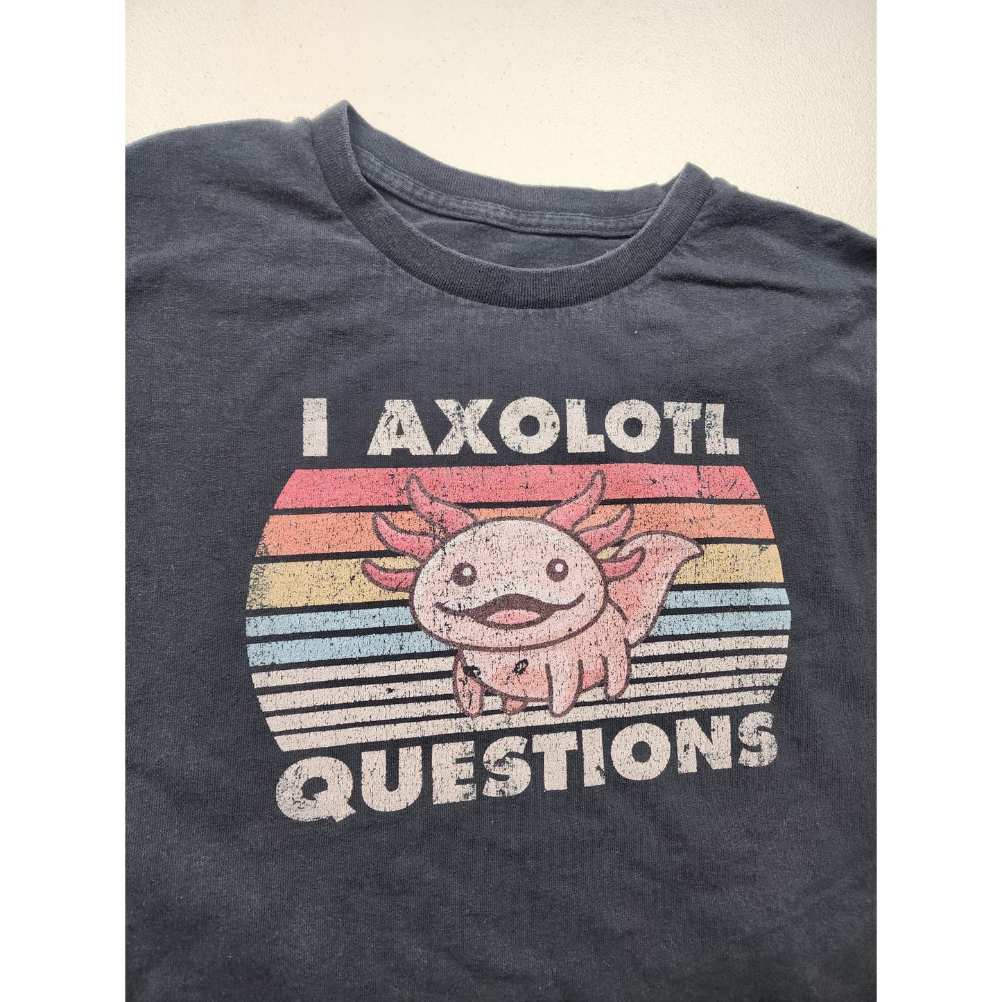 Axolotl Graphic TShirt Medium Vintage Style Pun Tee Humor Retro Rainbow Meme Y2K