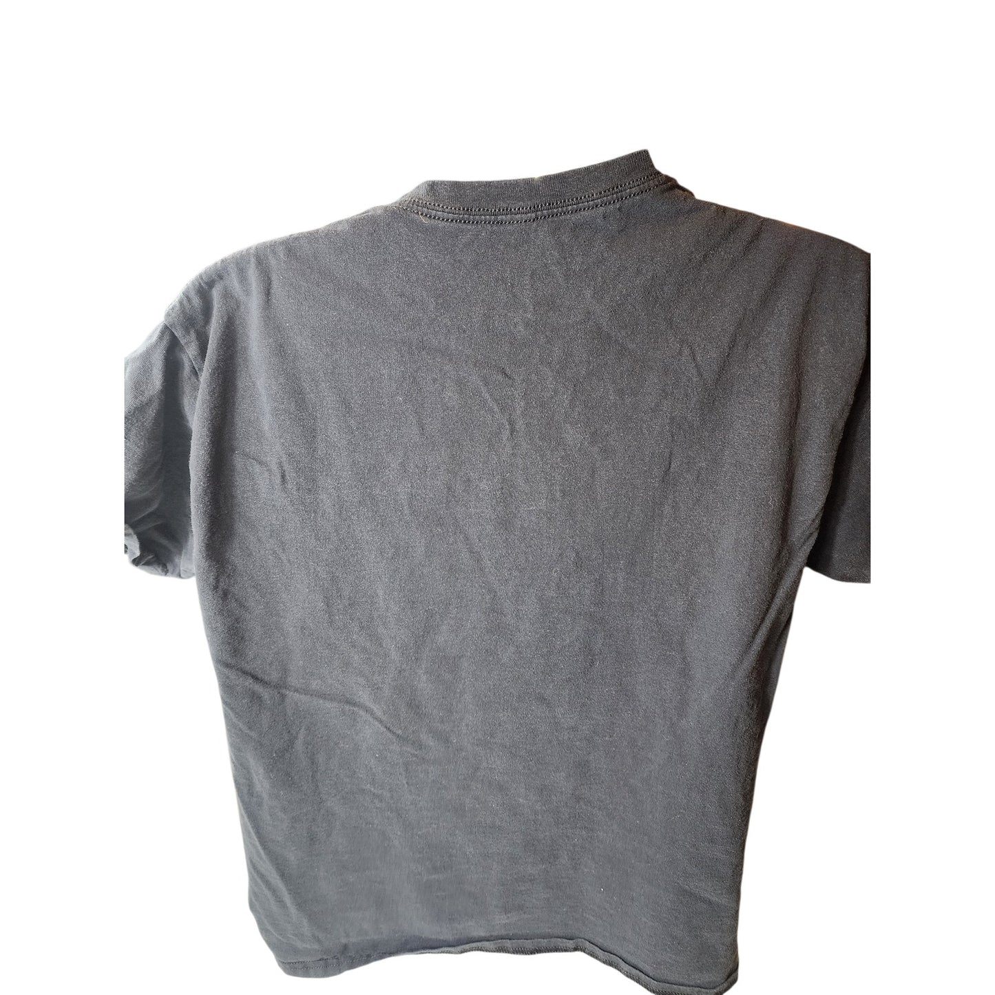 Axolotl Graphic TShirt Medium Vintage Style Pun Tee Humor Retro Rainbow Meme Y2K