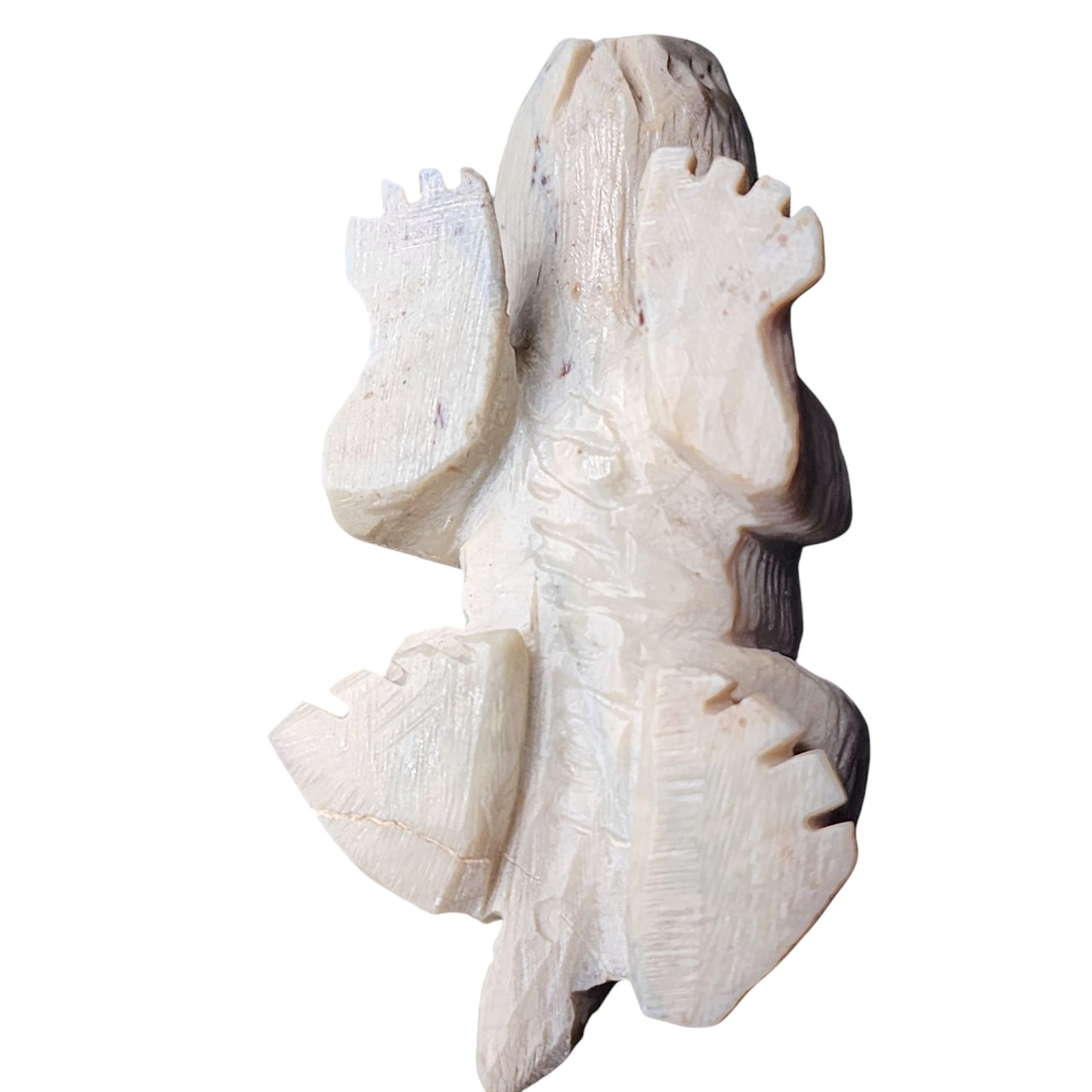 Native American Zuni Reptile Fetish Carving Turquoise Totem Southwest Art Signed