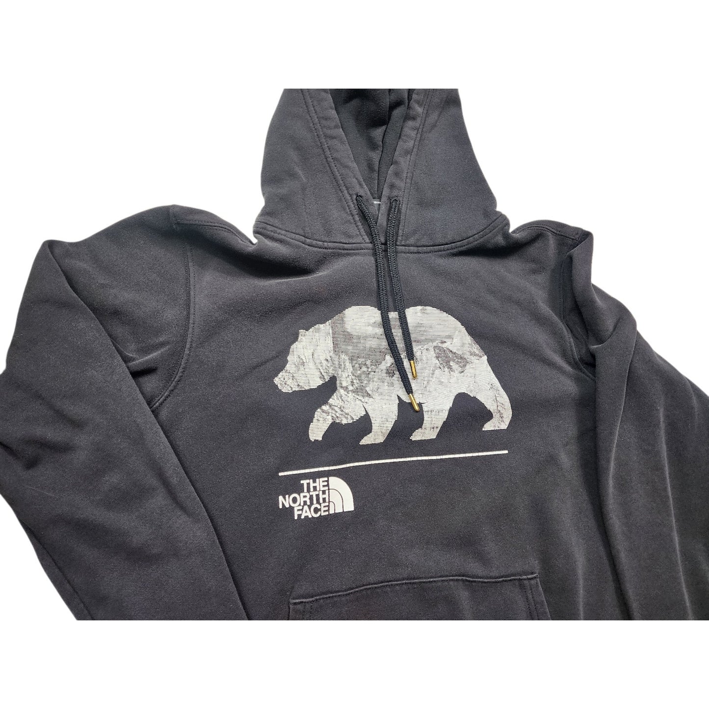 North Face Hoodie Mens Small Womens Medium Bear Graphic Pullover Sweatshirt Y2K
