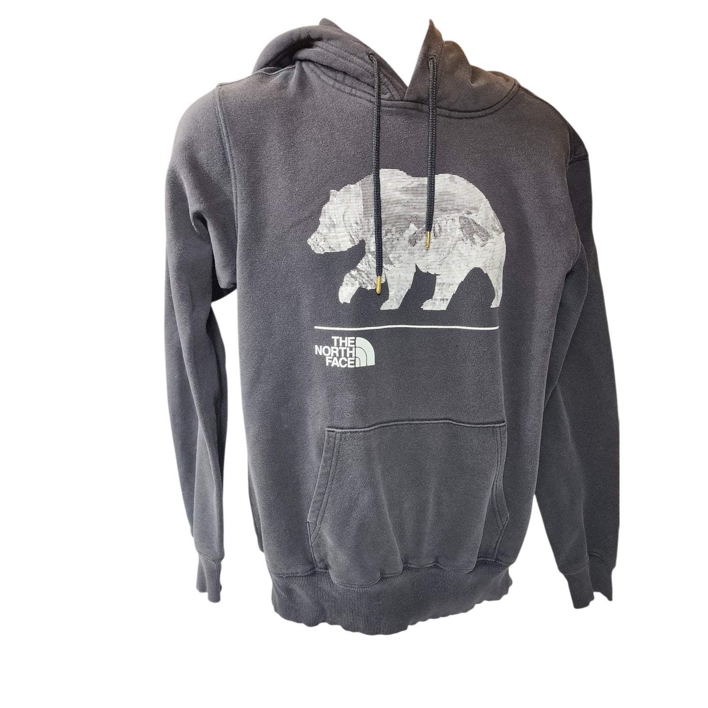 North Face Hoodie Mens Small Womens Medium Bear Graphic Pullover Sweatshirt Y2K