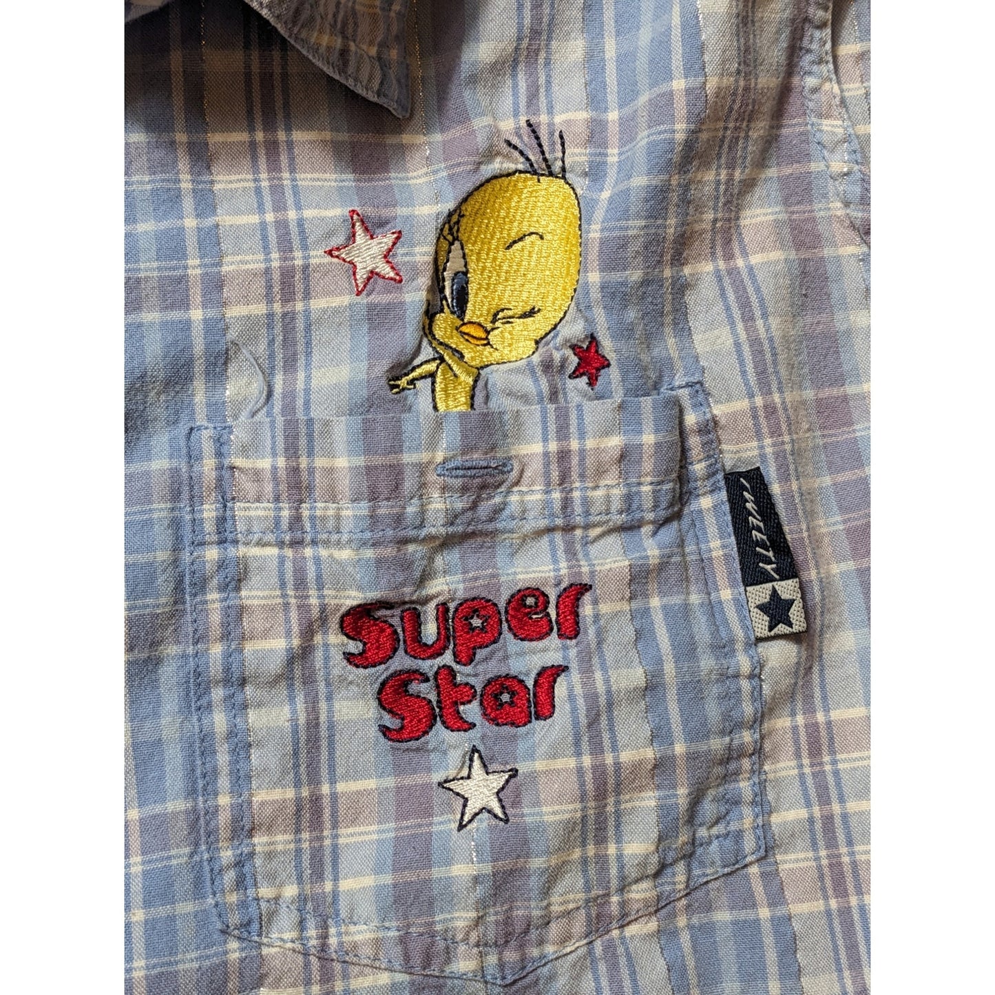 Looney Tunes Tweety Bird Women 26W 28W Sleeveless Button Up Shirt Embroidered