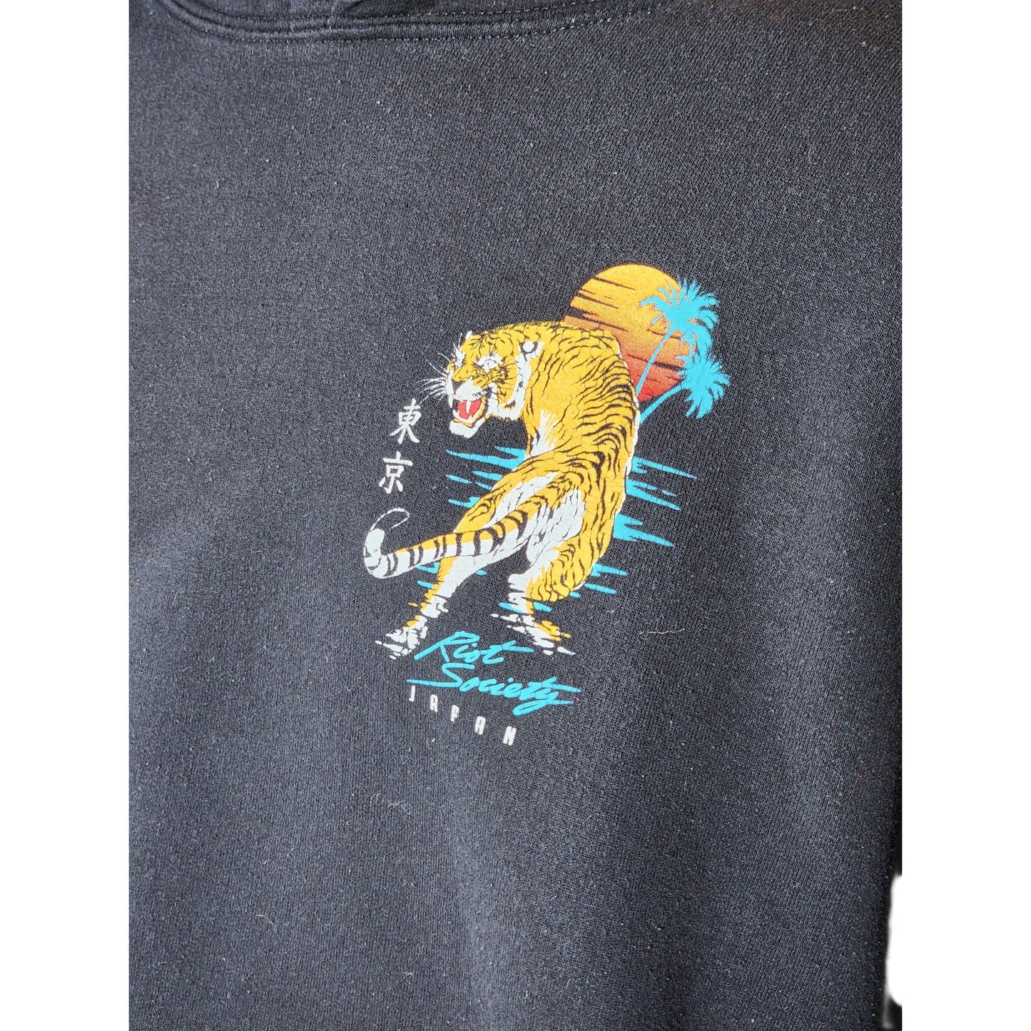 Riot Society Tiger Tokyo Hoodie Large Graphic Japan Streetwear Sunset Skater Y2K