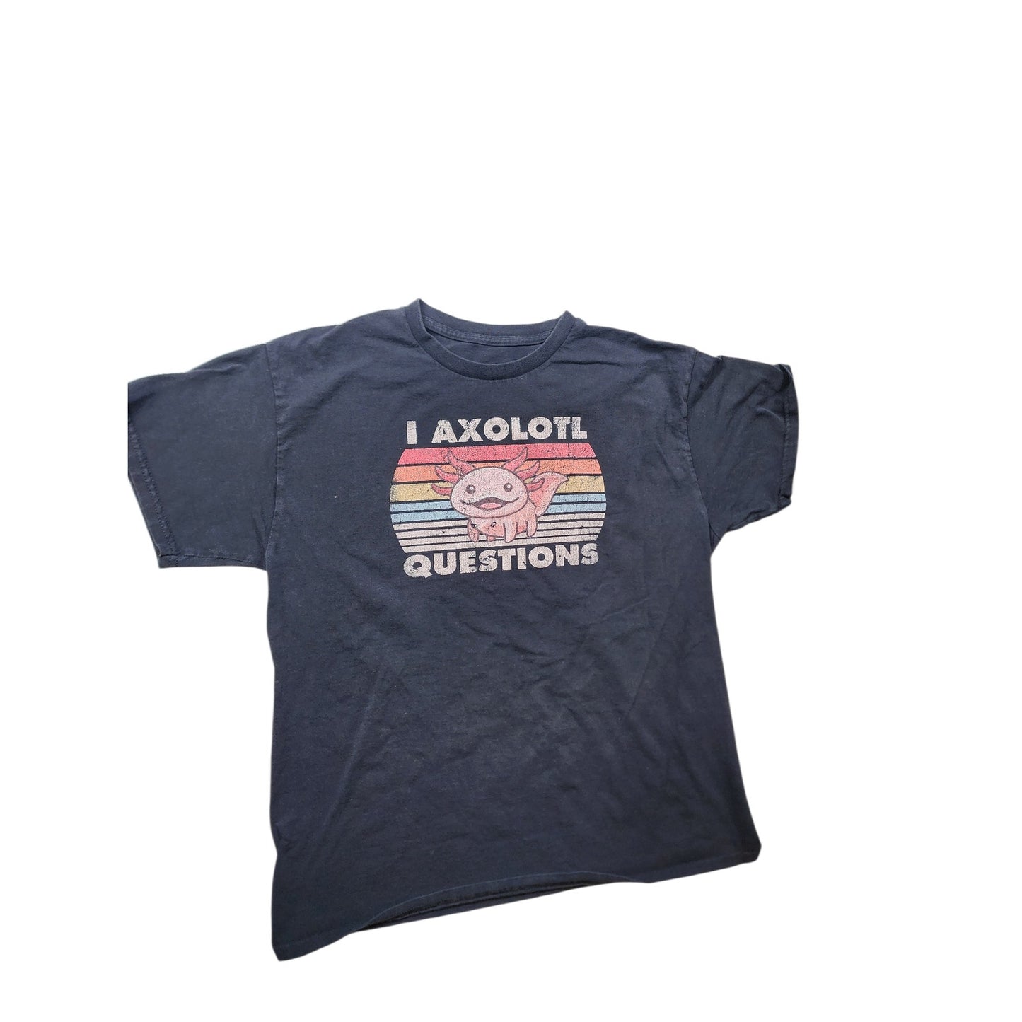 Axolotl Graphic TShirt Medium Vintage Style Pun Tee Humor Retro Rainbow Meme Y2K