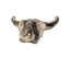 Native American Southwestern Style Pottery Buffalo Skull Signed T Vail Horsehair