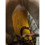 KEEN Boots Mens 9EE Utility Waterproof Hiking Dry ASTM F2892 EH Durable Trail